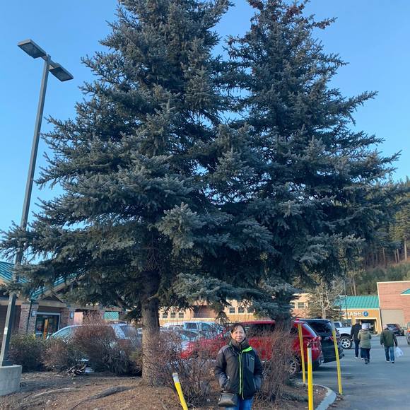 Meet your Posher, Le - Picture 1 of 1